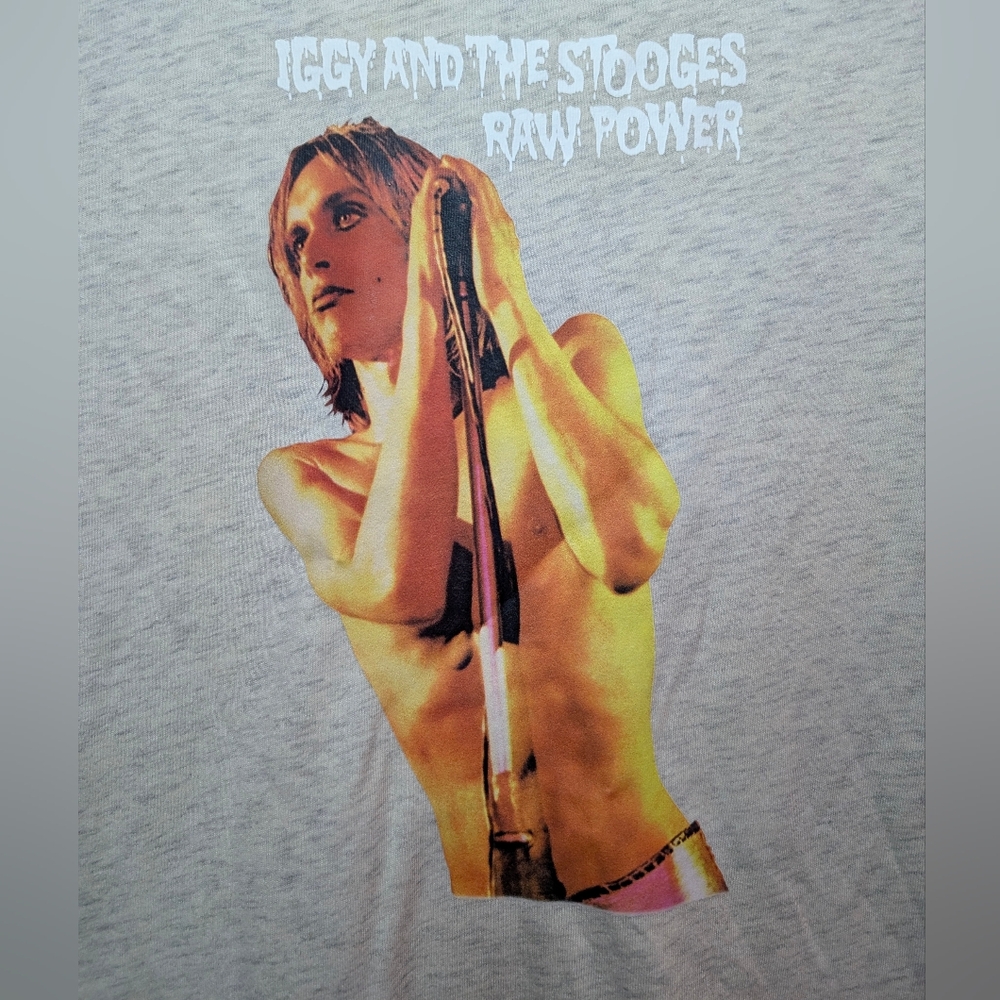Iggy Pop & The Stooges T-Shirt - Picture 2 of 4